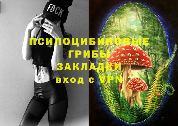 соль курить ск Белокуриха